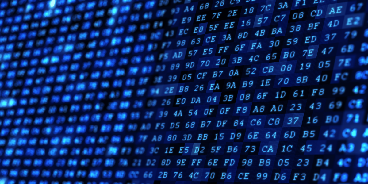 The Algorithm That Remembers What You Forgot